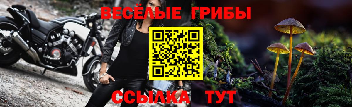 Кувандык  Псилоцибиновые грибы мухоморы  Вход с VPN 