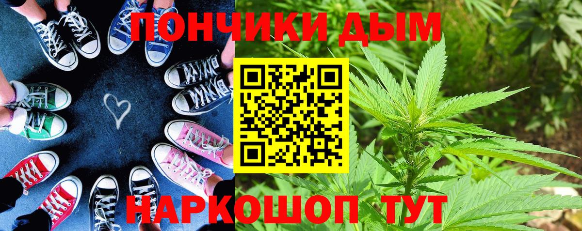 Конопля индика Кувандык